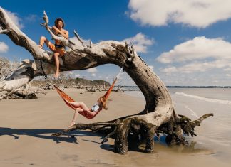 Driftwood Beach on Jekyll Island