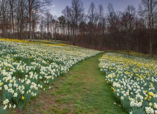 Gibbs Gardens