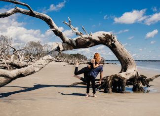 Driftwood Beach