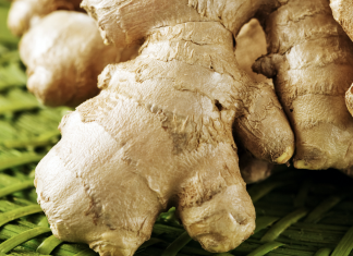 Growing ginger in Georgia